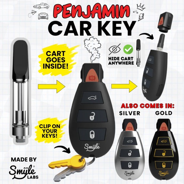 SMYLE LABS PENJAMIN PEMANENT MARKER CARTRIDGE BATTERY