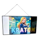 WSFP LONG ULTRA-THIN LED LIGHT BOX 12" X 48"