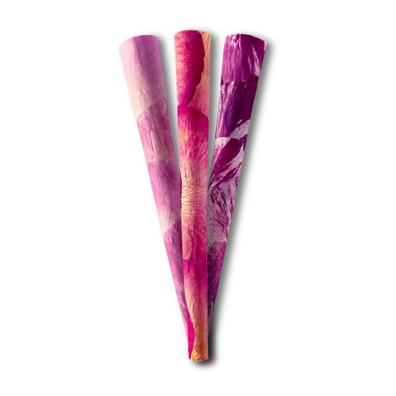 ZIG ZAG ROSE CONES 3CT BOX OF 8