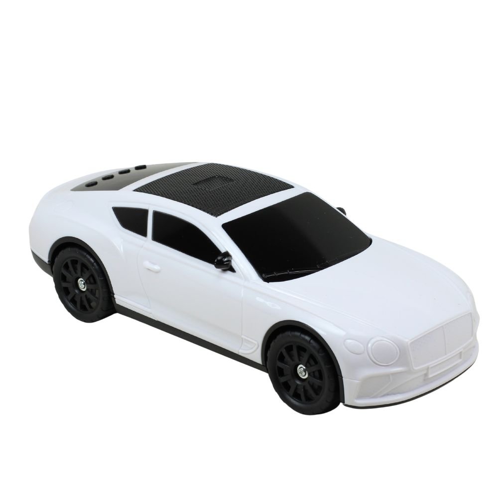 CAR LUXURY PORTABLE WIRELESS SPEAKER X-702