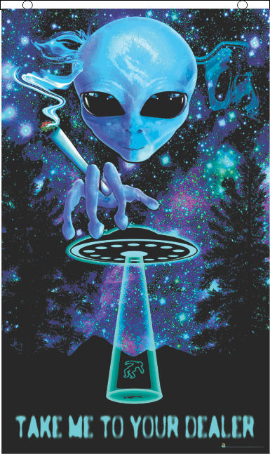 FLY FLAGS BLACKLIGHT REACTIVE 3X5